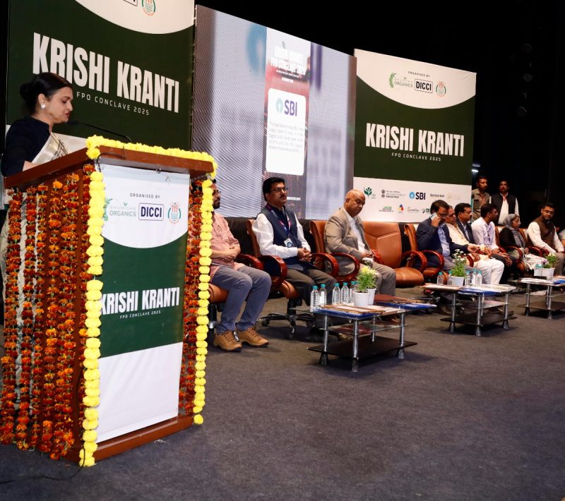 WhatsApp Image 2025-07-03 at 2.30.53 PM