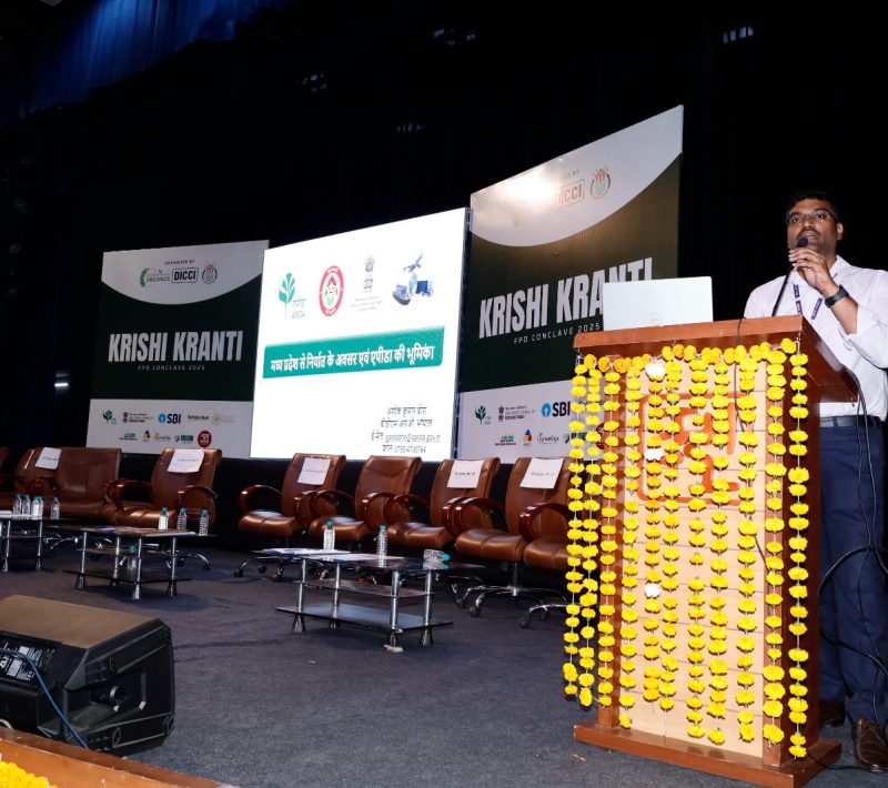 WhatsApp Image 2025-07-03 at 2.30.58 PM