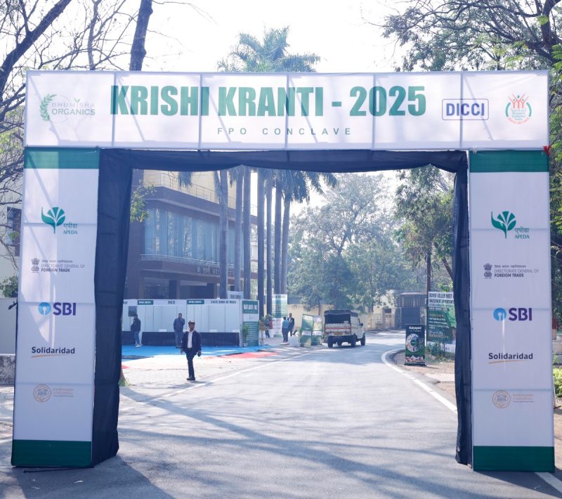 WhatsApp Image 2025-07-03 at 2.31.07 PM (2)