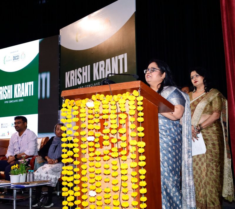 WhatsApp Image 2025-07-03 at 2.31.17 PM